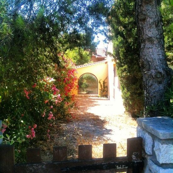 Le Chemin de l'Amour.jpg